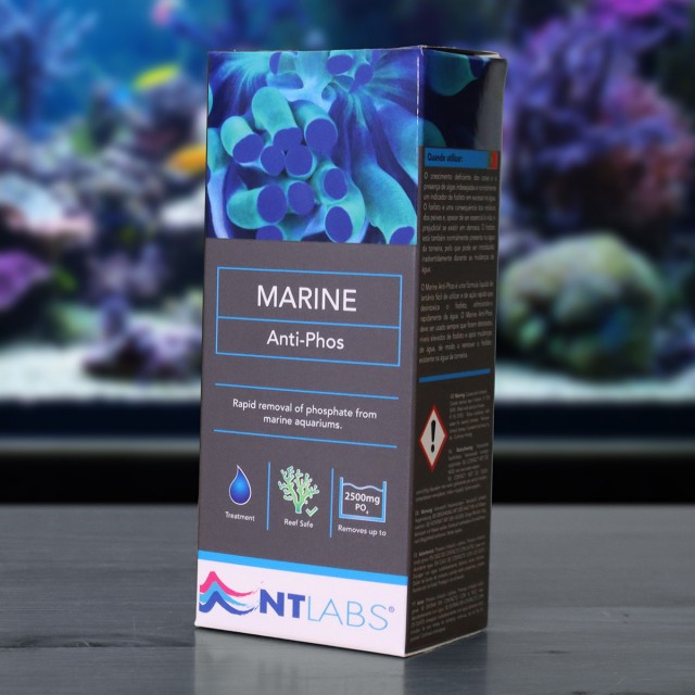 Marine Anti-Phos Display