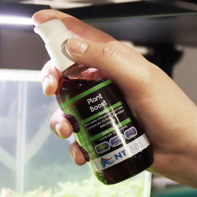 Plant Boost Lifestyle 2