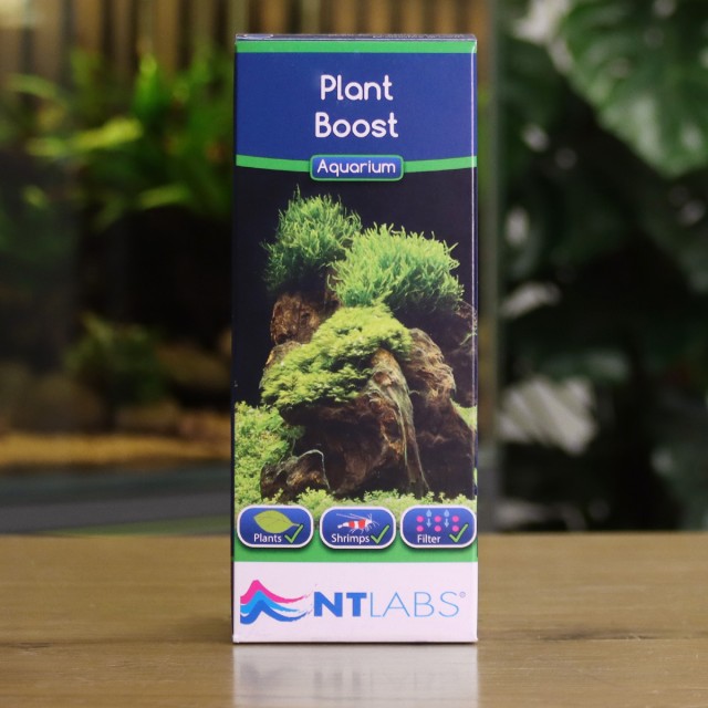 Plant Boost Display