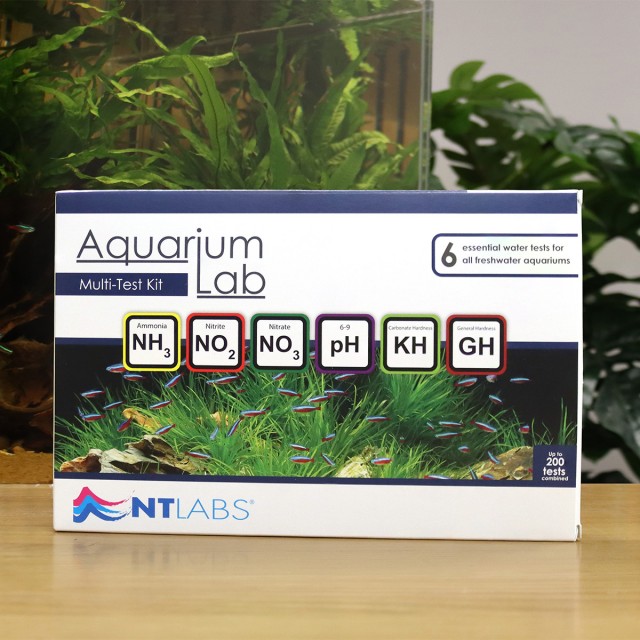 Aquarium Multi(NEW) Front