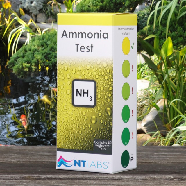 Freshwater Ammonia Display 5ml